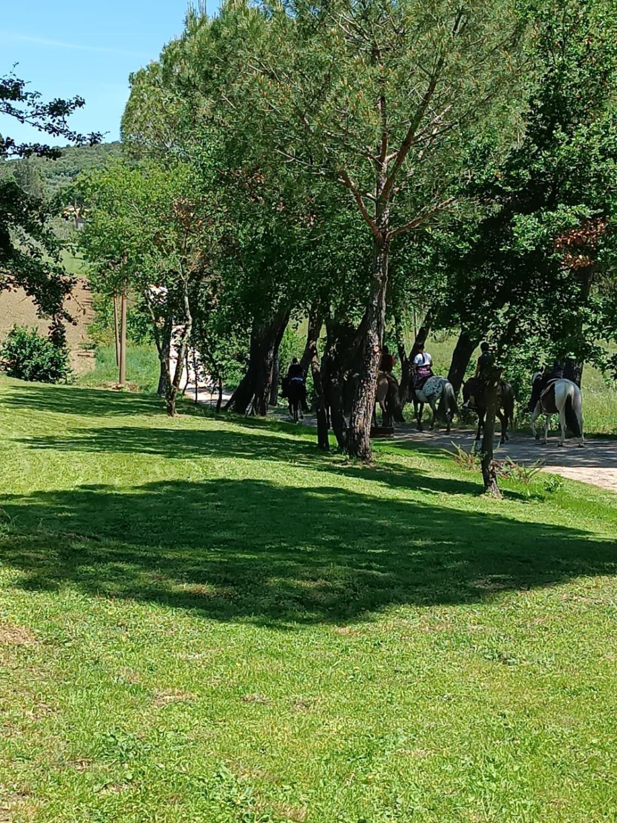 La Casa Dei Breton Apartman Magione Kültér fotó